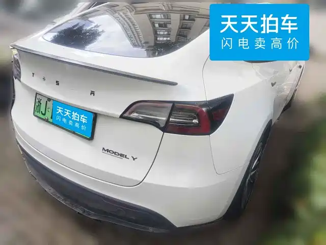 Tesla Model Y 2021 Performance High-Performance AWD — фото 5