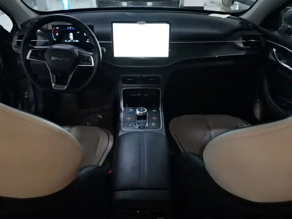 BYD Destroyer 05 2024 Glory Edition DM-i 55KM Luxury фото 10