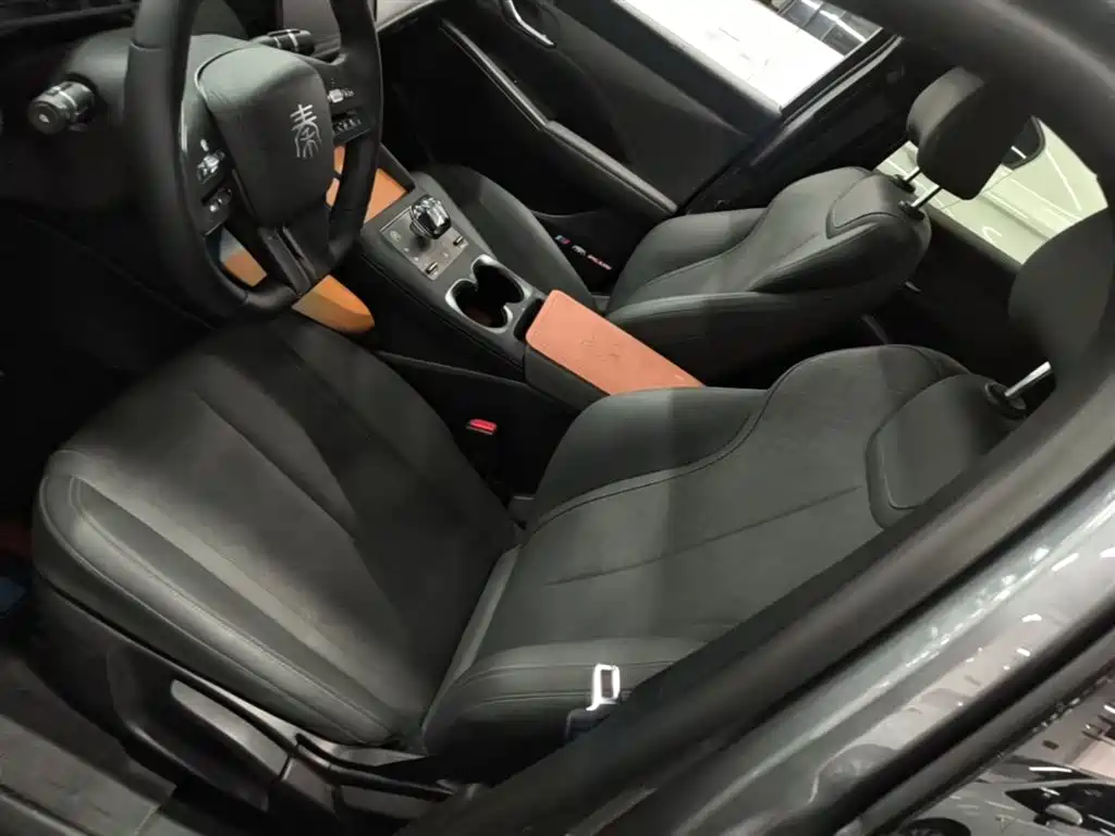 BYD Qin PLUS 2025 DM-i Smart Drive 55KM Leader фото 15