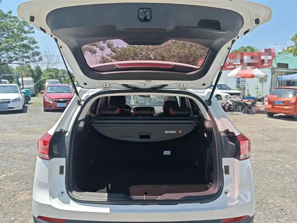 Haval H4 2019 1.5GDIT DCT Luxury Smart Connect Edition China V фото 19