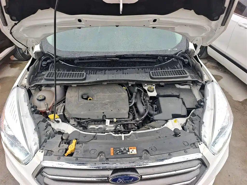 Ford Kuga 2021 2019 EcoBoost 180 2WD Platinum Wing Edition China VI