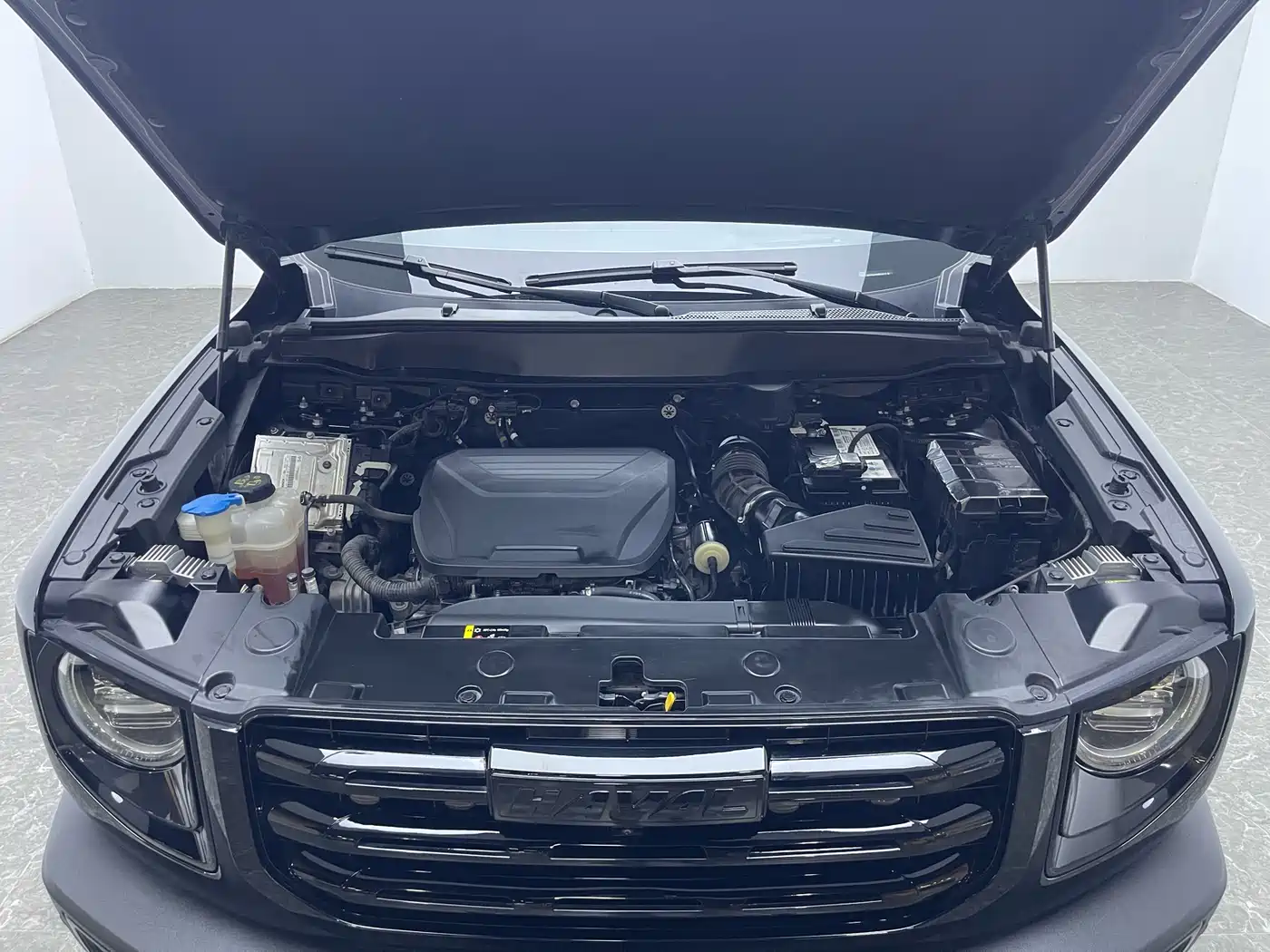 Haval Big Dog 2022 1.5T DCT FWD Border Collie Edition фото 17