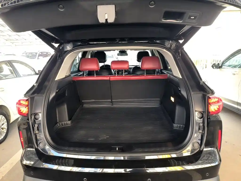 GAC Trumpchi Trumpchi GS4 PLUS 2023 2022 390T Automatic Nebula Edition