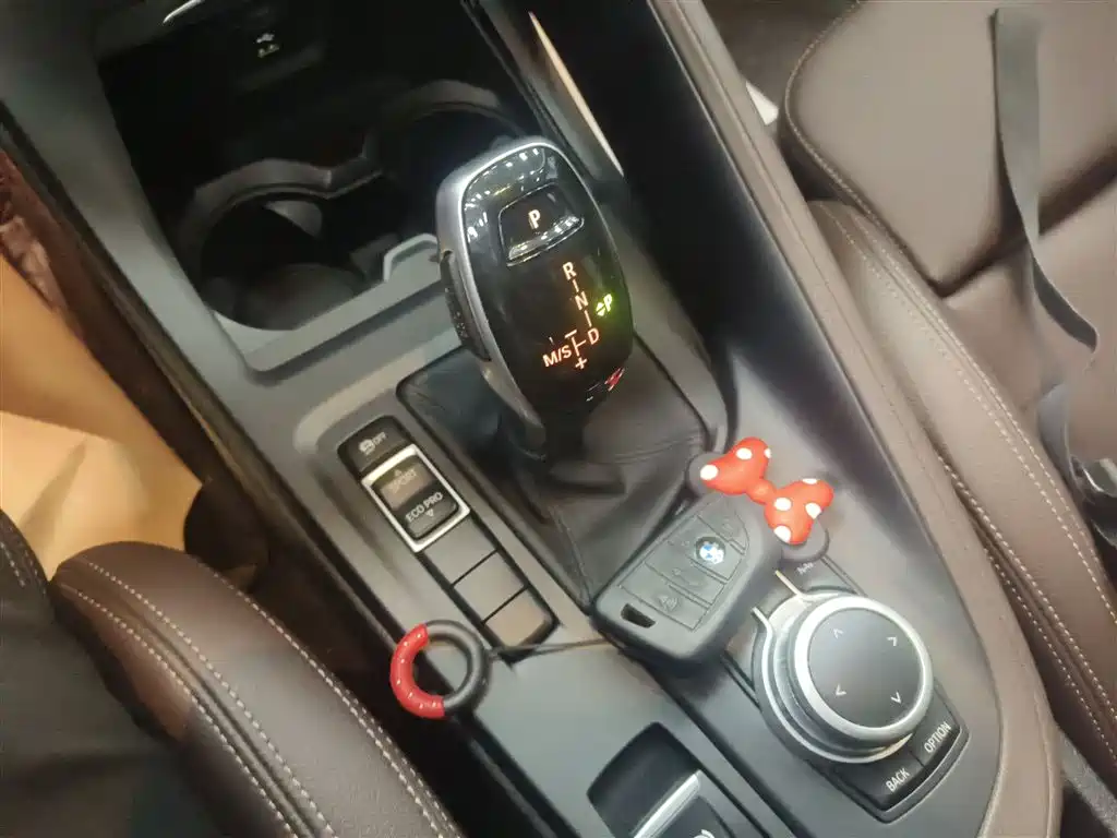 BMW X1 2020 sDrive25Li Leading Model фото 10