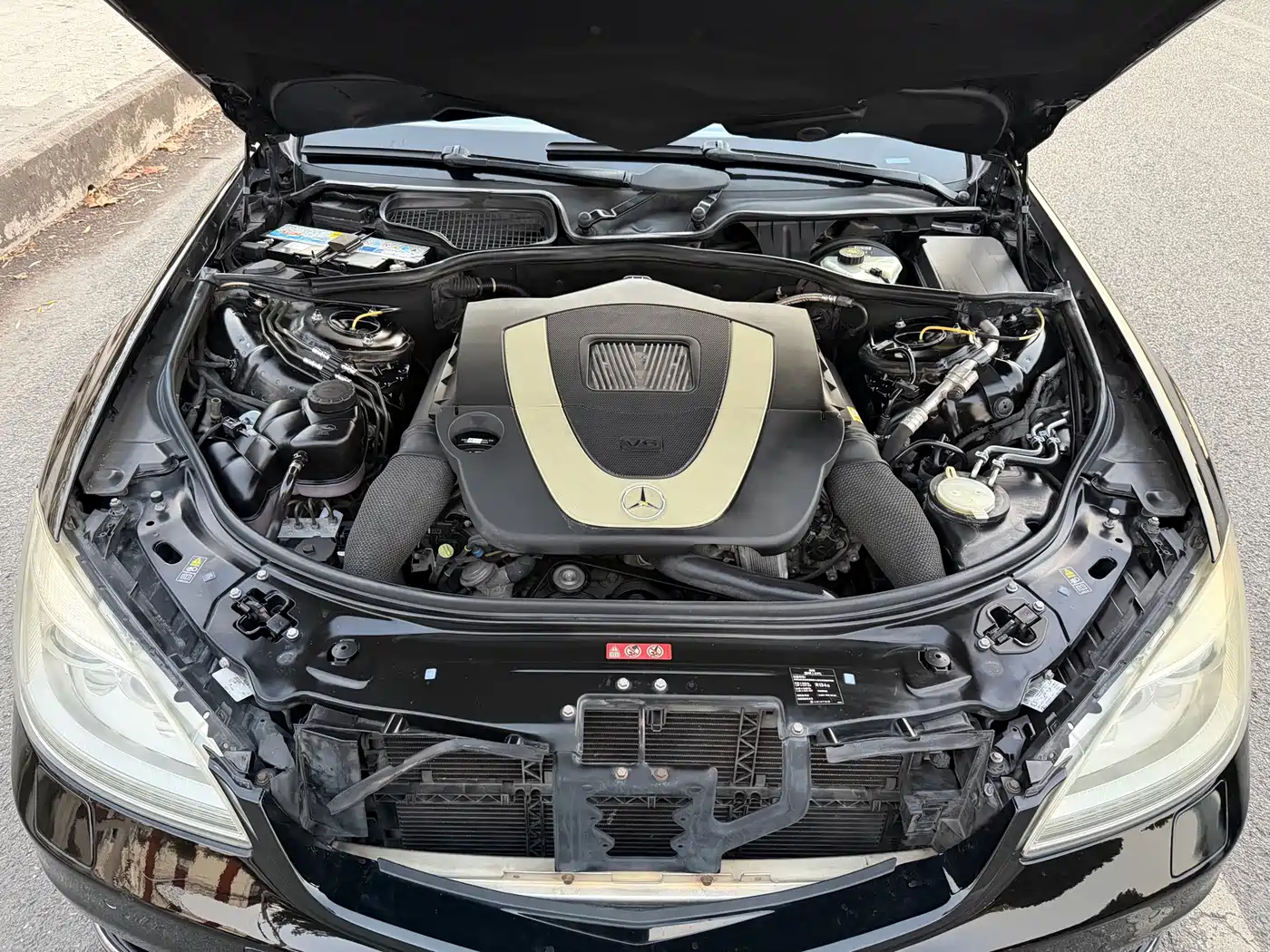 Mercedes-Benz S-Class 2010 S 350 L Luxury фото 21