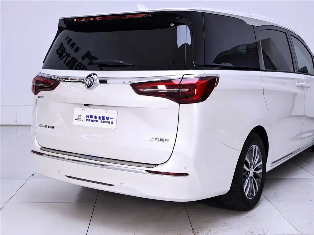 Buick GL8 2022 ES Landmark 653T Comfort фото 8