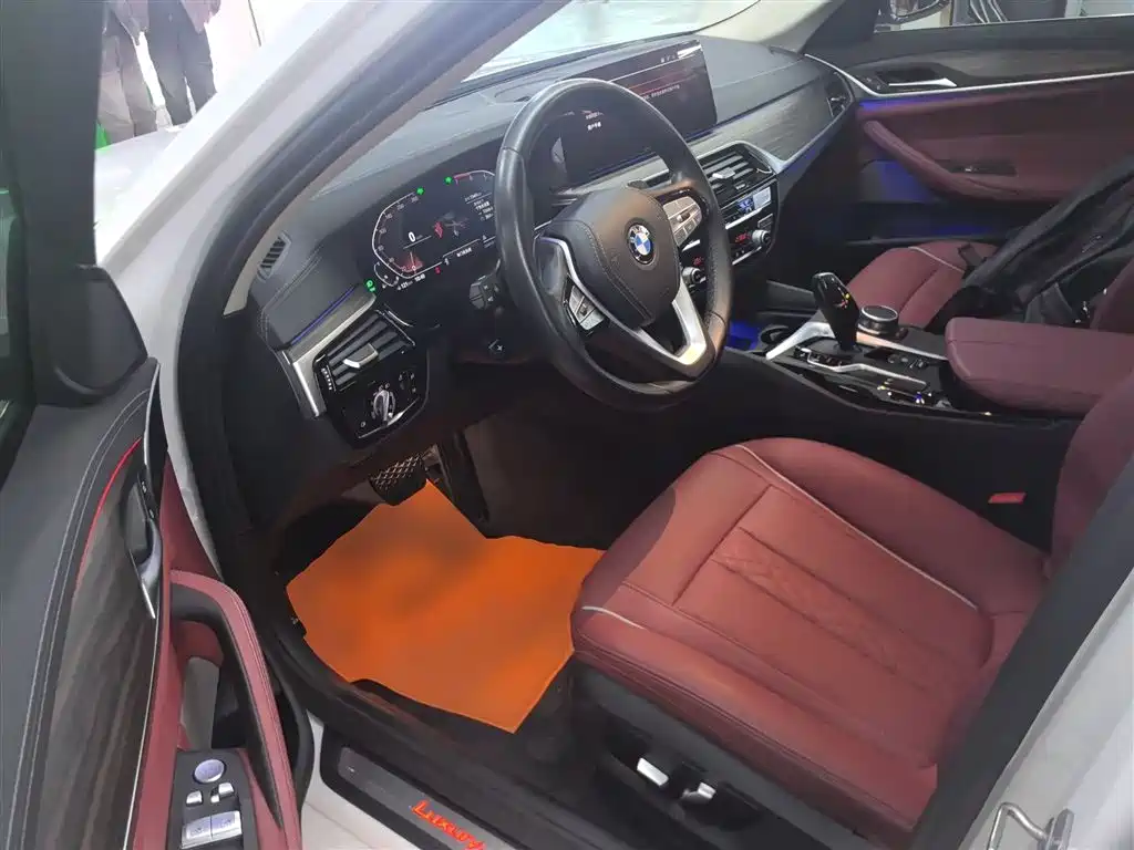 BMW 5 Series 2021 530Li Leading Luxury Package фото 15