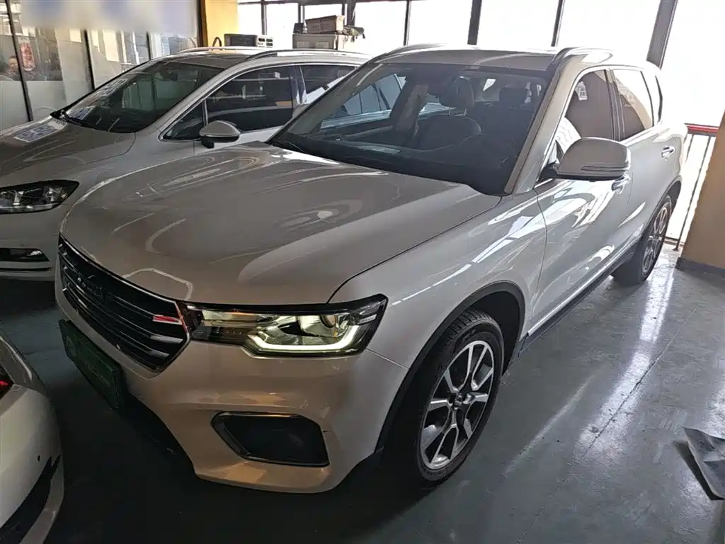 Haval H7 2019 2.0T Zhixiang Edition China V фото 2