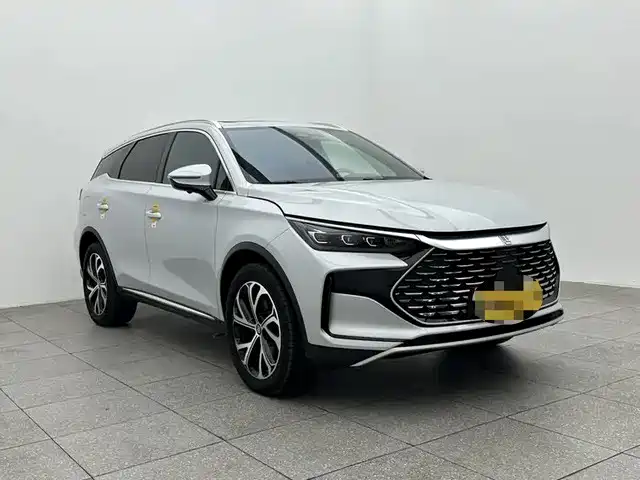 BYD Tang New Energy 2025 DM-i 115KM Prestige Type фото 3