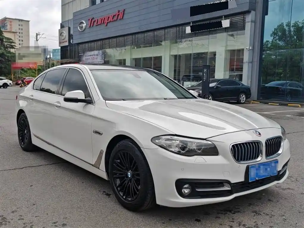 BMW 5 Series 2014 525Li Luxury Design Package фото 3