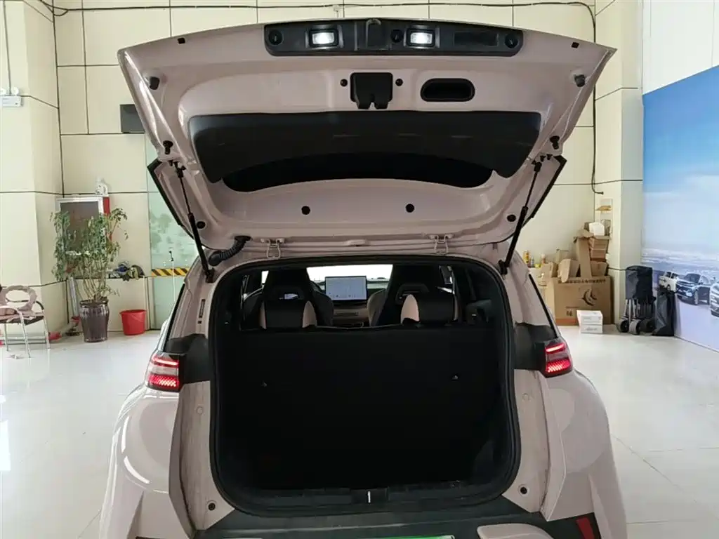 BYD Seagull 2025 Smart Drive Edition 305km Freedom Version фото 19