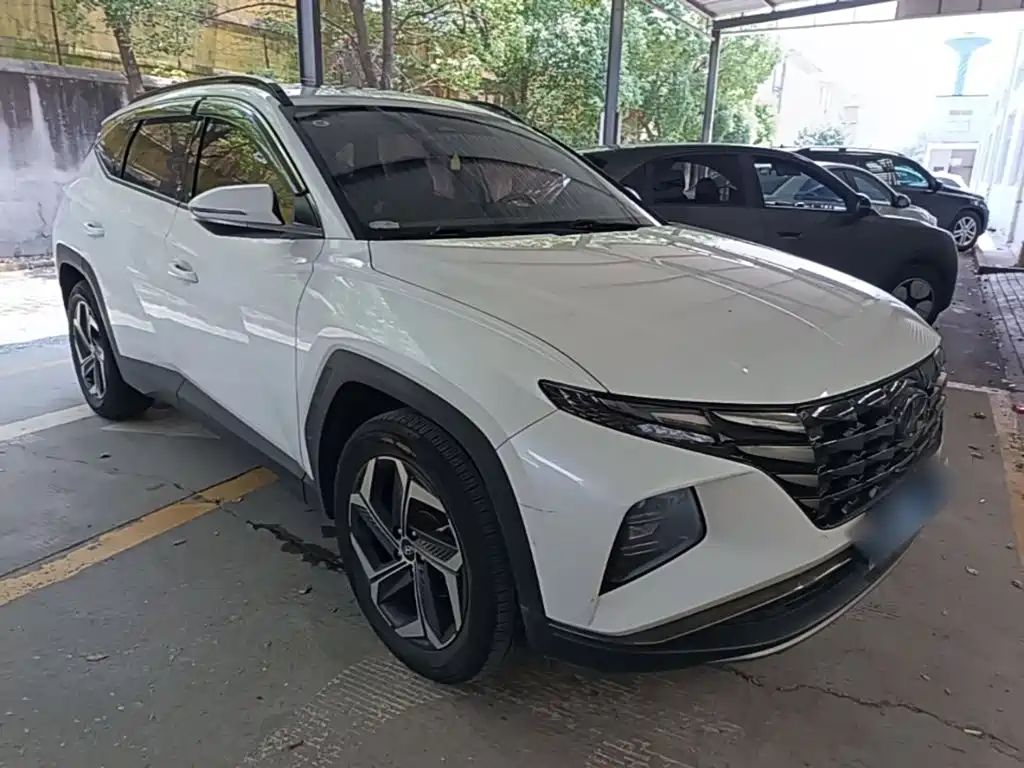Hyundai Tucson 2024 2023 Tucson L 1.5T Automatic 2WD DLX Luxury Edition