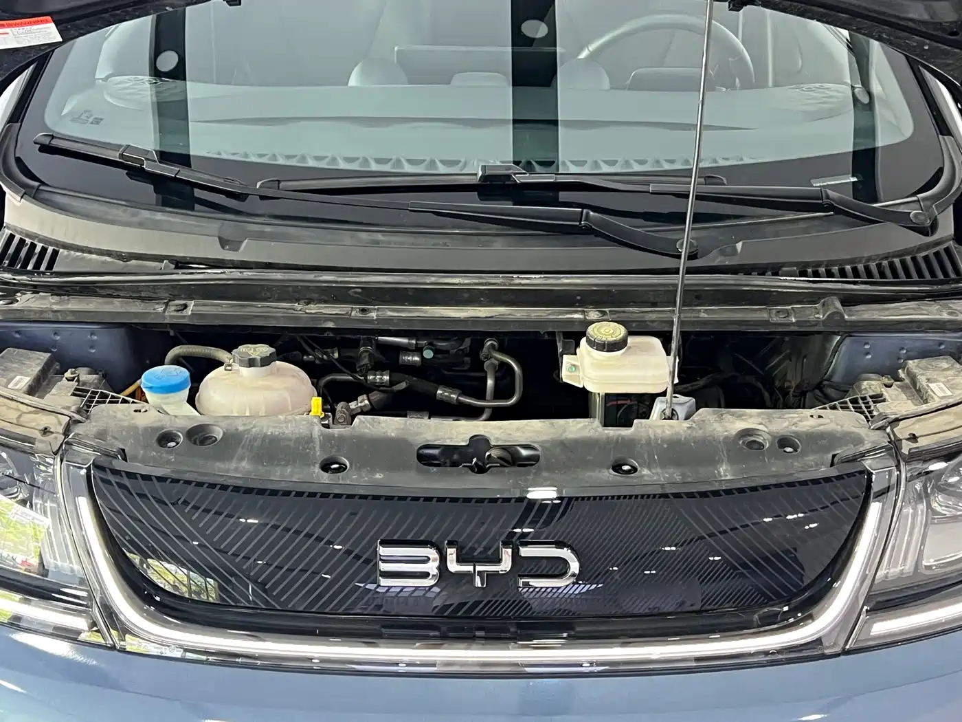 BYD Dolphin 2024 Glory Edition 401km Knight Edition фото 4
