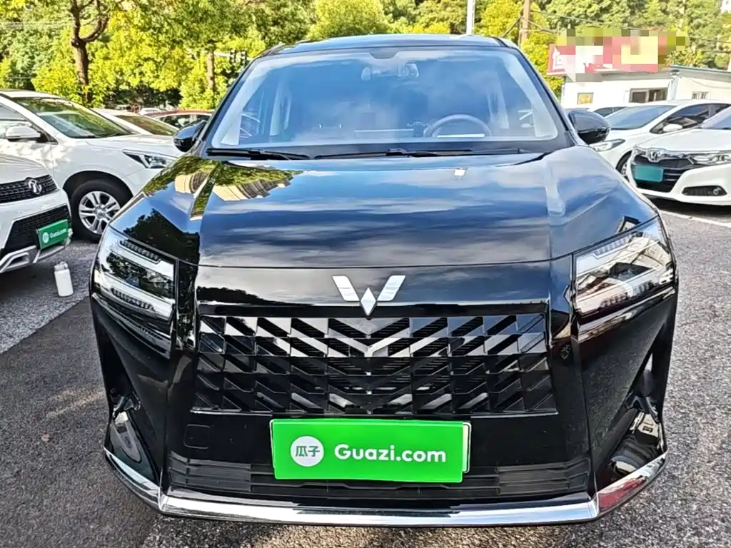 2025 Wuling Motors Xingguang 730 New Energy