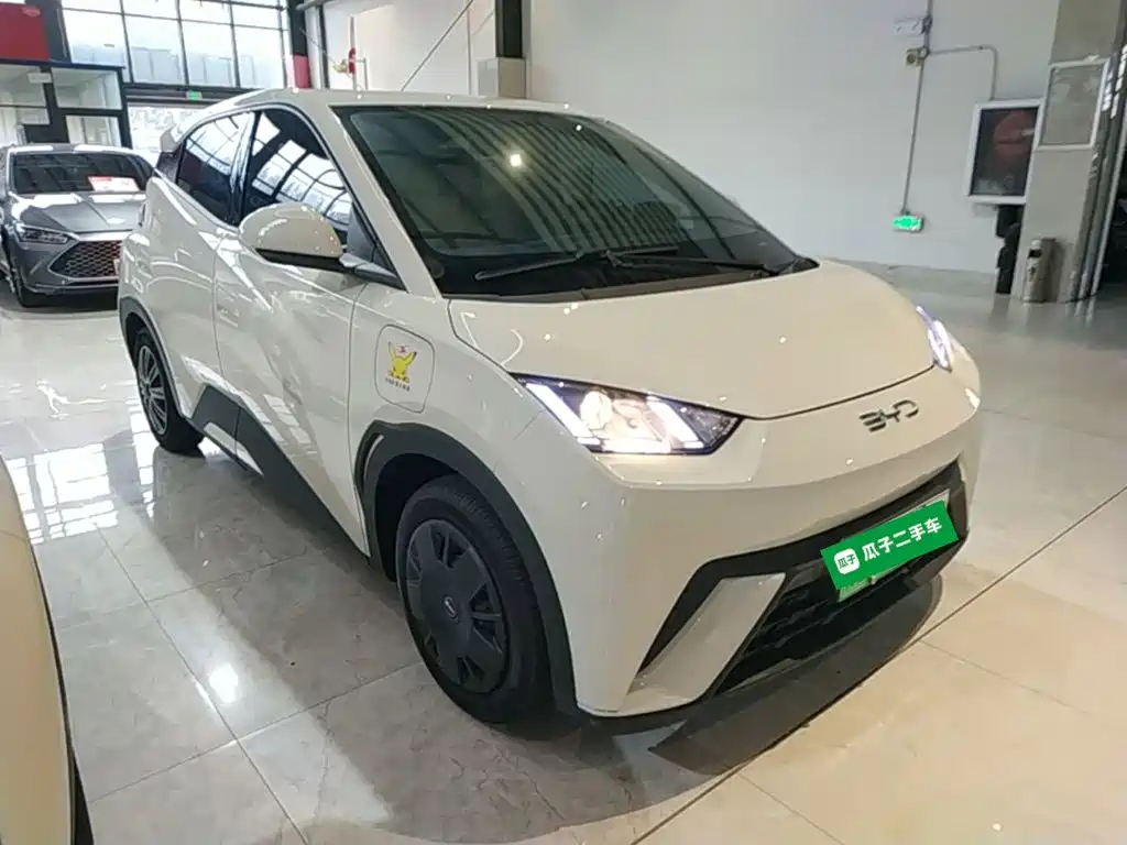 BYD Seagull 2023 2023 Vitality Edition