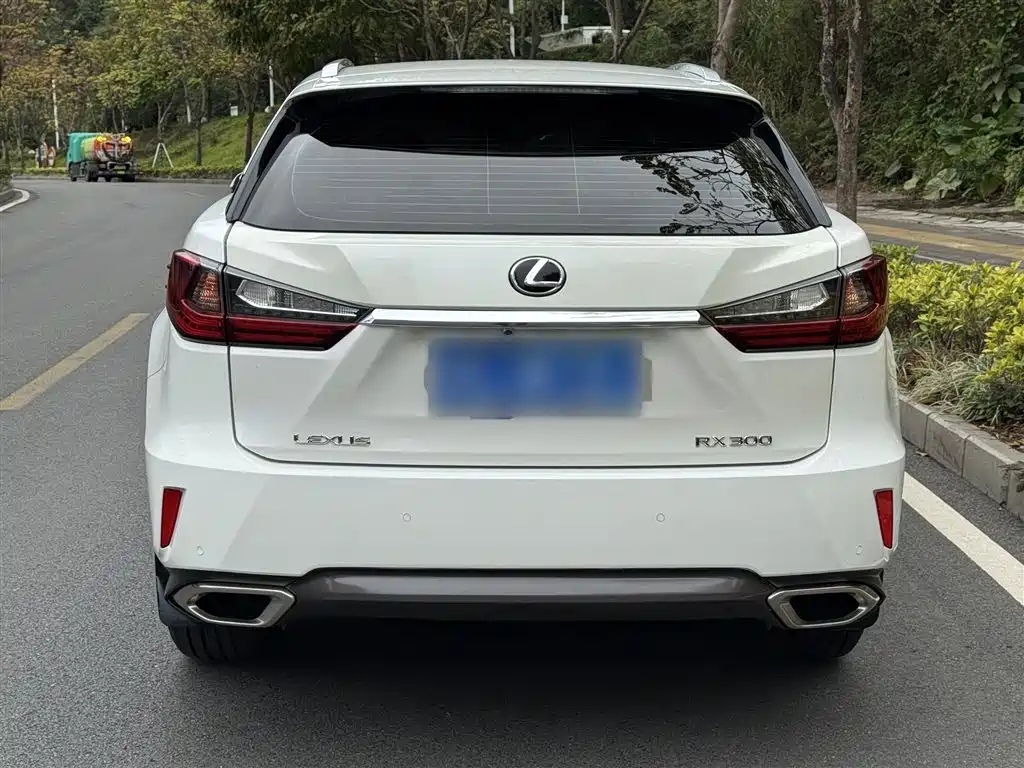 Lexus RX 2016 300 2WD Elite Edition China VI фото 9