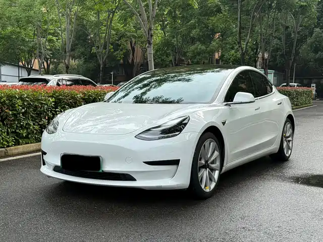 Tesla Model 3 2019 Standard Range Rear-Wheel Drive Upgrade