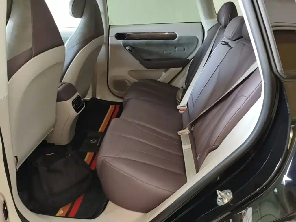 Leapmotor C11 2022 2021 Luxury Edition