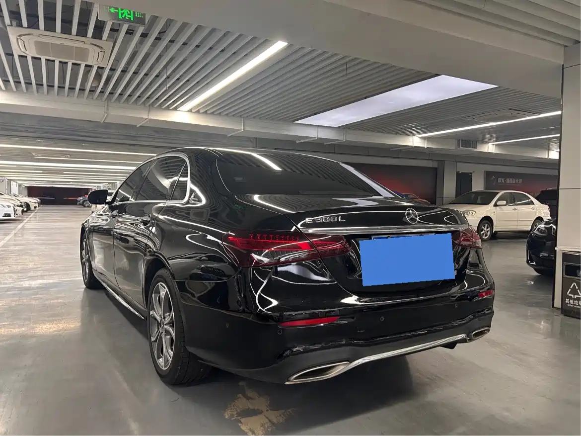 Mercedes-Benz E-Class 2021 E 300 L Sport Luxury Edition фото 12