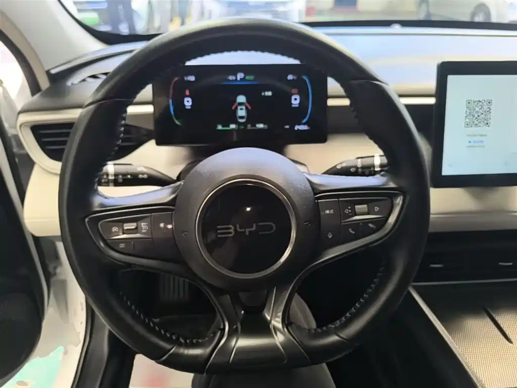 BYD Hai Bao 05 DM-i 2025 DM-i Smart Drive Edition 55KM Luxury фото 11