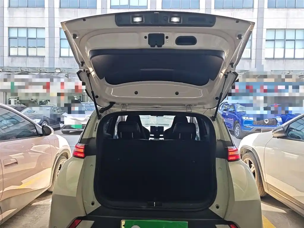 BYD Seagull 2023 Freedom Edition фото 19