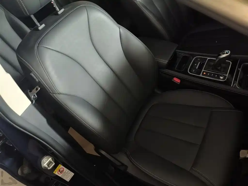 BYD Song MAX 2021 Upgrade 1.5T Automatic Luxury Edition 6-Seater фото 25