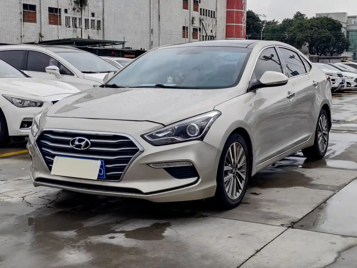 HYUNDAI NAME PICTURE