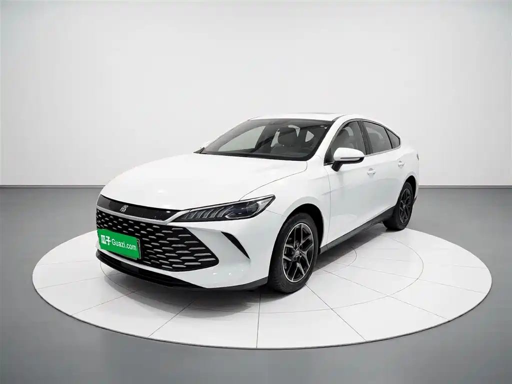 BYD Qin PLUS 2025 DM-i Smart Drive 55KM Leader