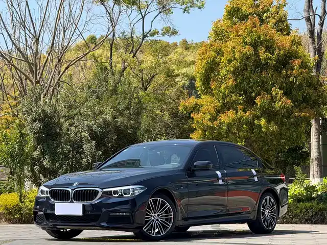 BMW 5 SERIES