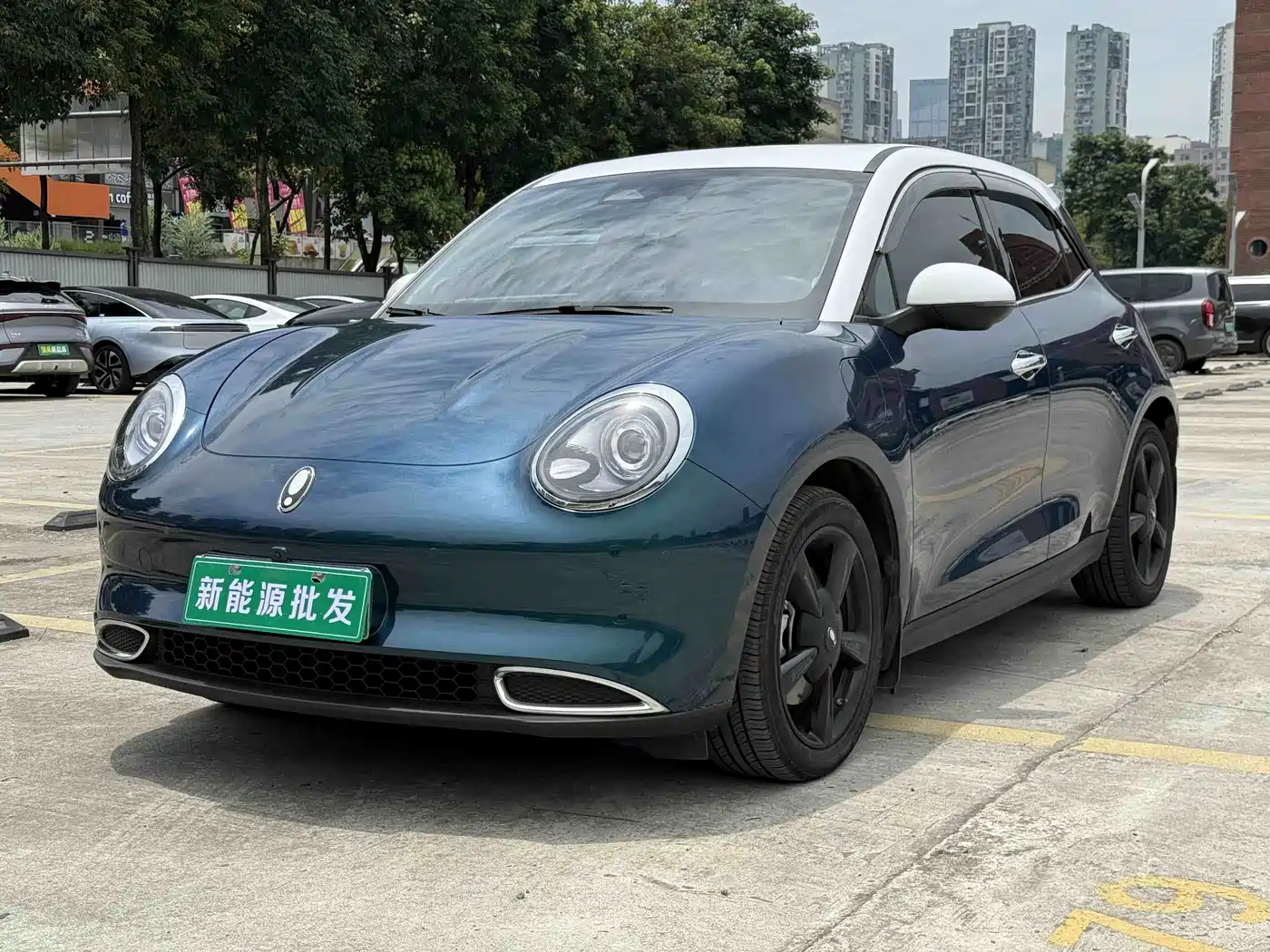 Ora Good Cat 2024 501km Premium
