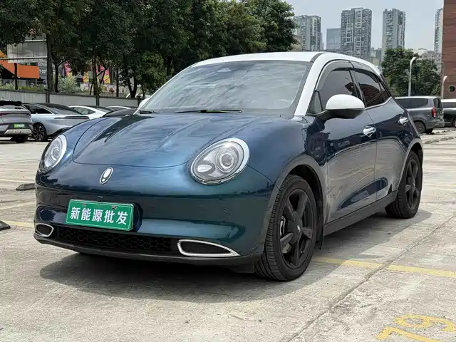 Ora Good Cat 501km, Престиж