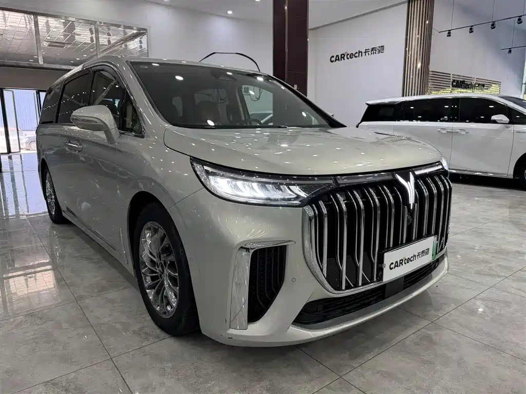 Voyah Auto Voyah Dreamer 2024 PHEV Extended Range Flagship Edition фото 3