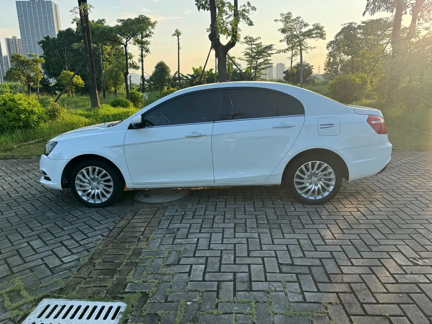 Geely Emgrand New Energy 2018 2017 EV300 Elite