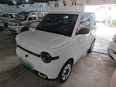 Geely Panda