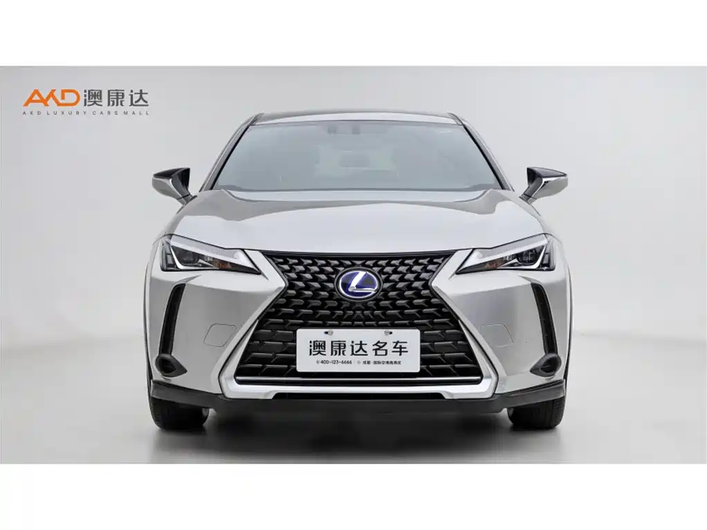 Lexus UX 2020 260h Explore Fun Edition фото 2