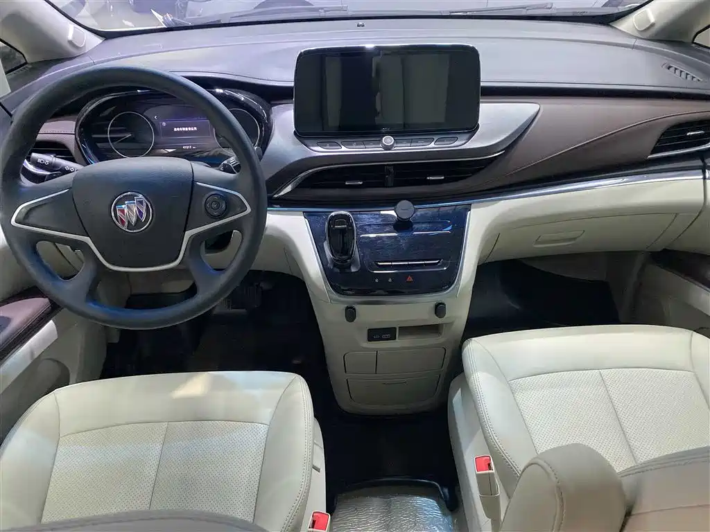 Buick GL8 2020 Model Land Business Class 652T Comfort фото 7