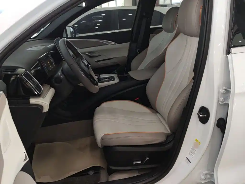 BYD Song Pro New Energy 2025 2024 Glory Edition DM-i 71KM Pilot