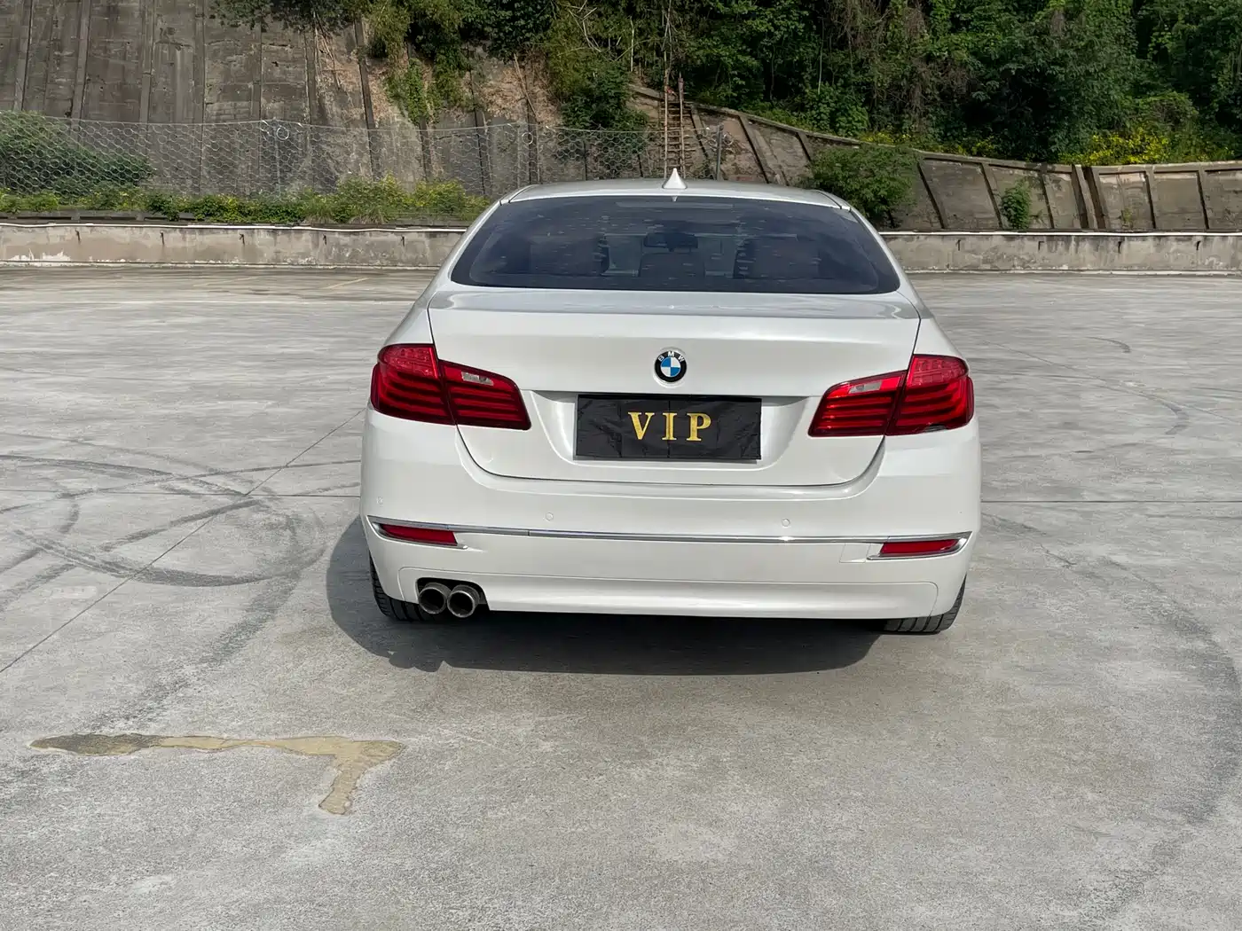 BMW 5 Series 2013 525Li Luxury фото 5