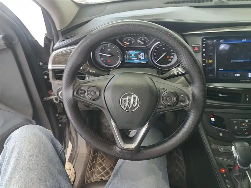Buick Envision Plus 2019 20T 2WD Leading Type China V фото 11