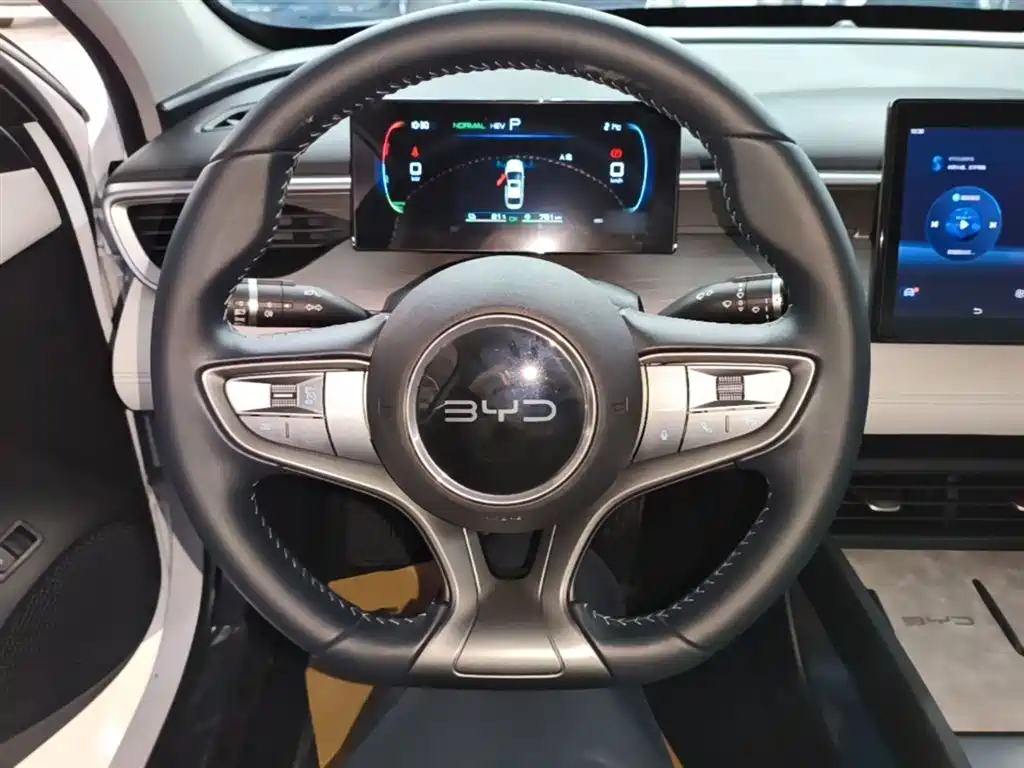 BYD Hai Bao 05 DM-i 2025 DM-i Smart Drive Edition 55KM Luxury фото 11