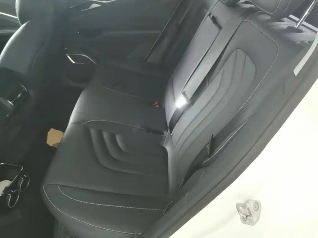 Nezha Auto Neta U 2021 2020 520 U-Enjoy