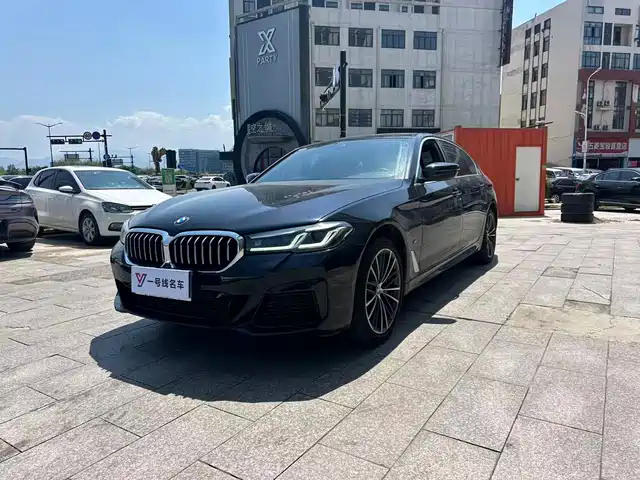 BMW 5 530Li, Лидер, M Спорт-пакет