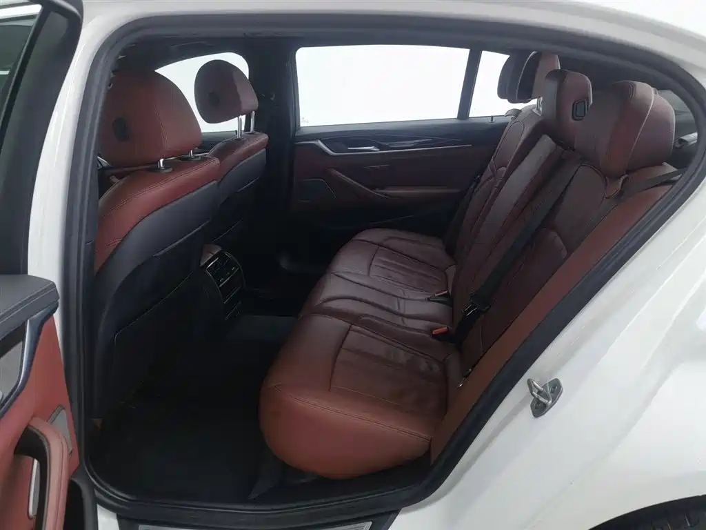 BMW 5 Series 2020 530Li Leading M Sport Package фото 15