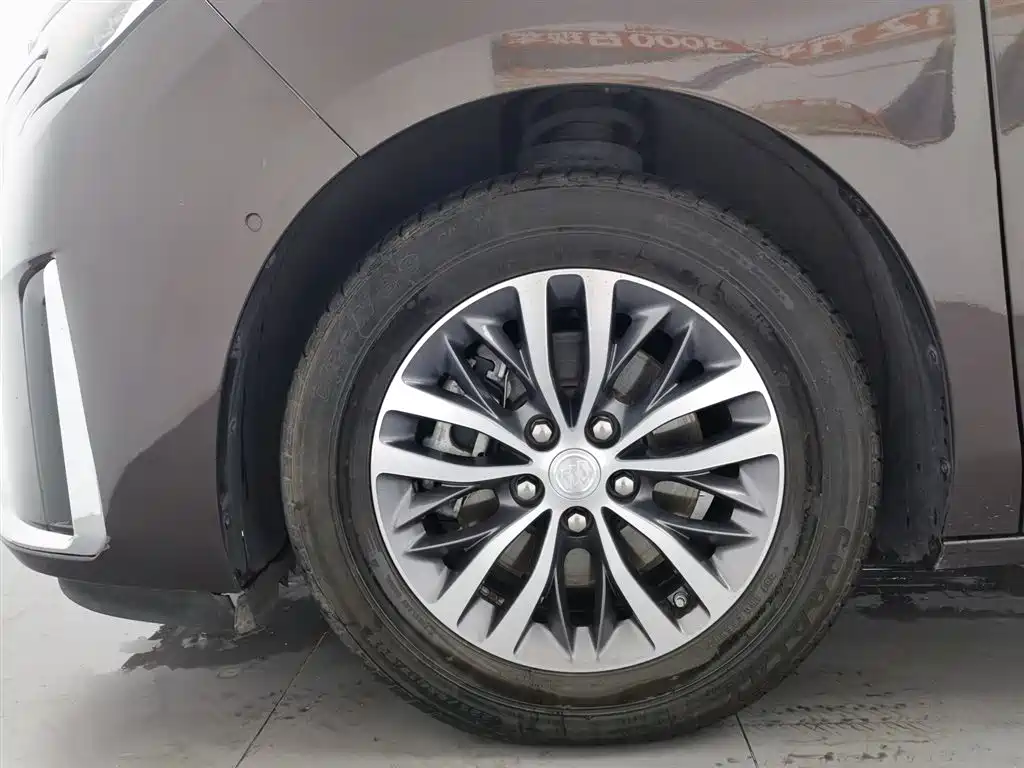 Buick GL8 2021 ES Landlord 653T Premium фото 17
