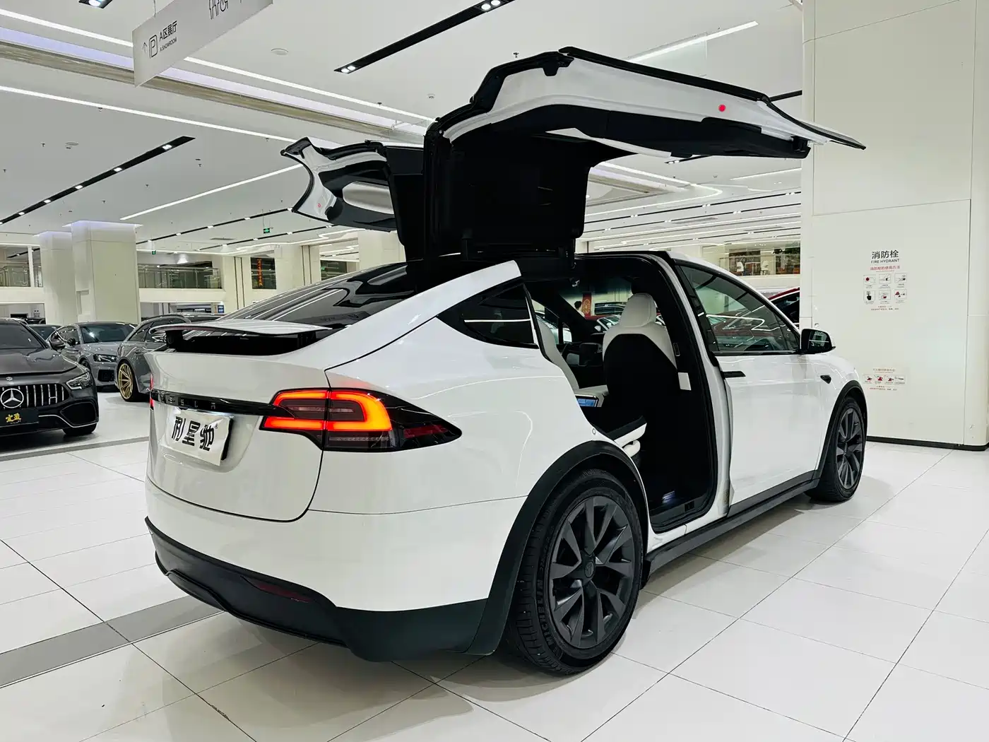 Tesla Model X 2023 2023 Dual Motor All-Wheel Drive Edition