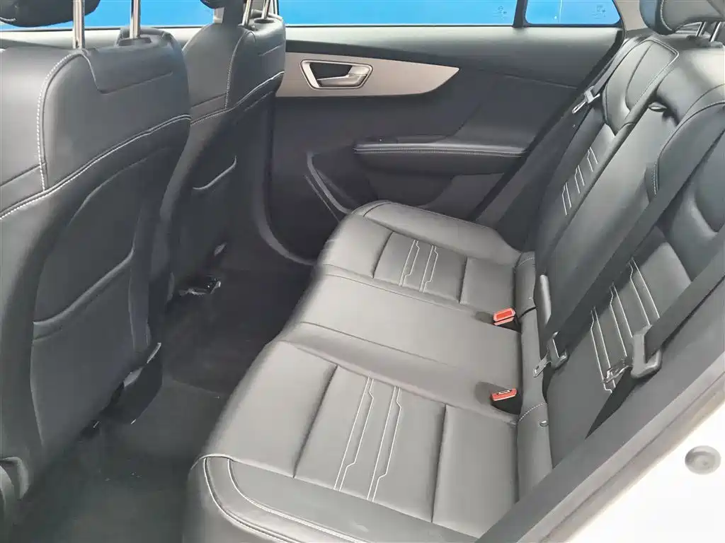 BYD Qin 2019 1.5L Automatic Prestige фото 13