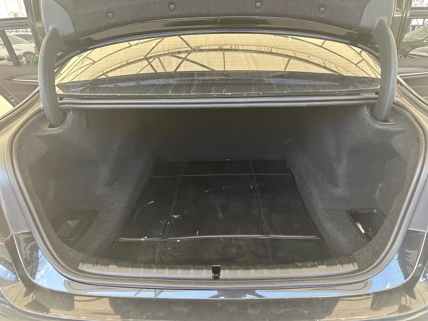 BMW 5 Series 2020 530Li Leading Luxury Package фото 19