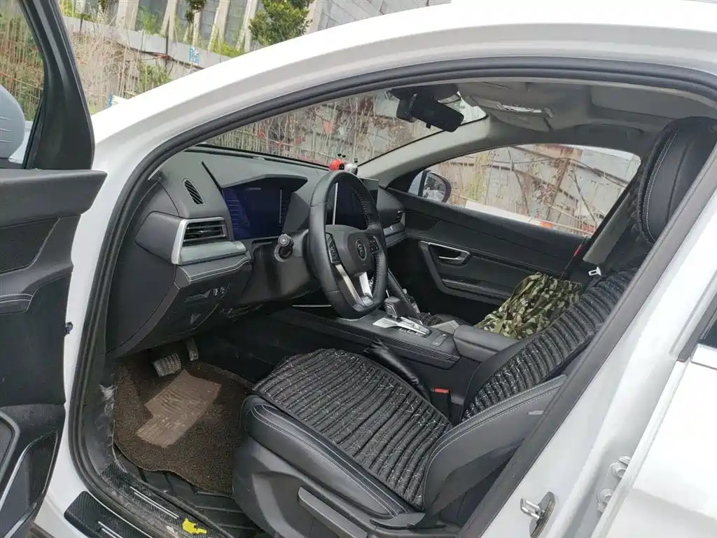 BYD Song Pro 2019 1.5T Automatic Luxury фото 12