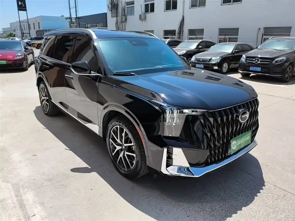 GAC Trumpchi Trumpchi GS8 2024 Dual Engine Series 2.0TM 2WD Premium Edition фото 4