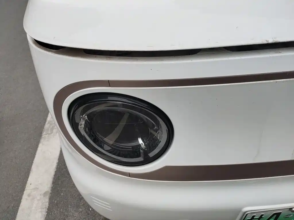 Geely Galaxy Panda 2023 2023 Panda Mini 200km Lively Bear